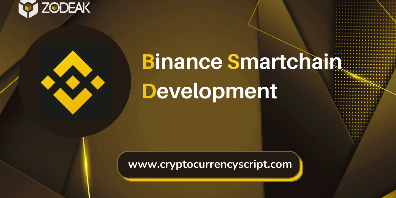 Binance Smartchain Development Services for DeFi Development on Binance Smart Chain(BSC)