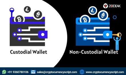 Custodial vs Non-custodial Wallet: Understanding the major Difference