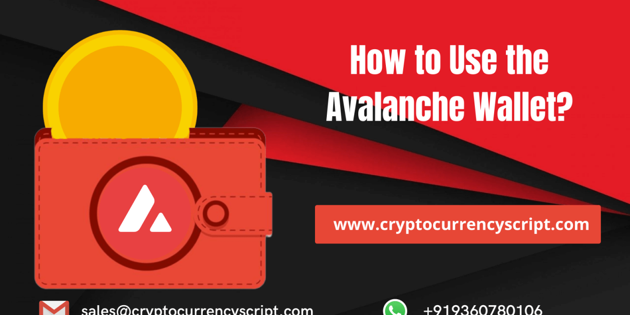 How to Use the Avalanche Wallet?