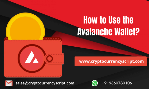 How to Use the Avalanche Wallet?