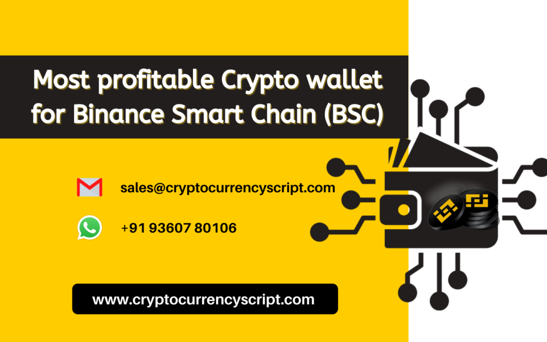Best Crypto wallet for Binance Smart Chain (BSC)