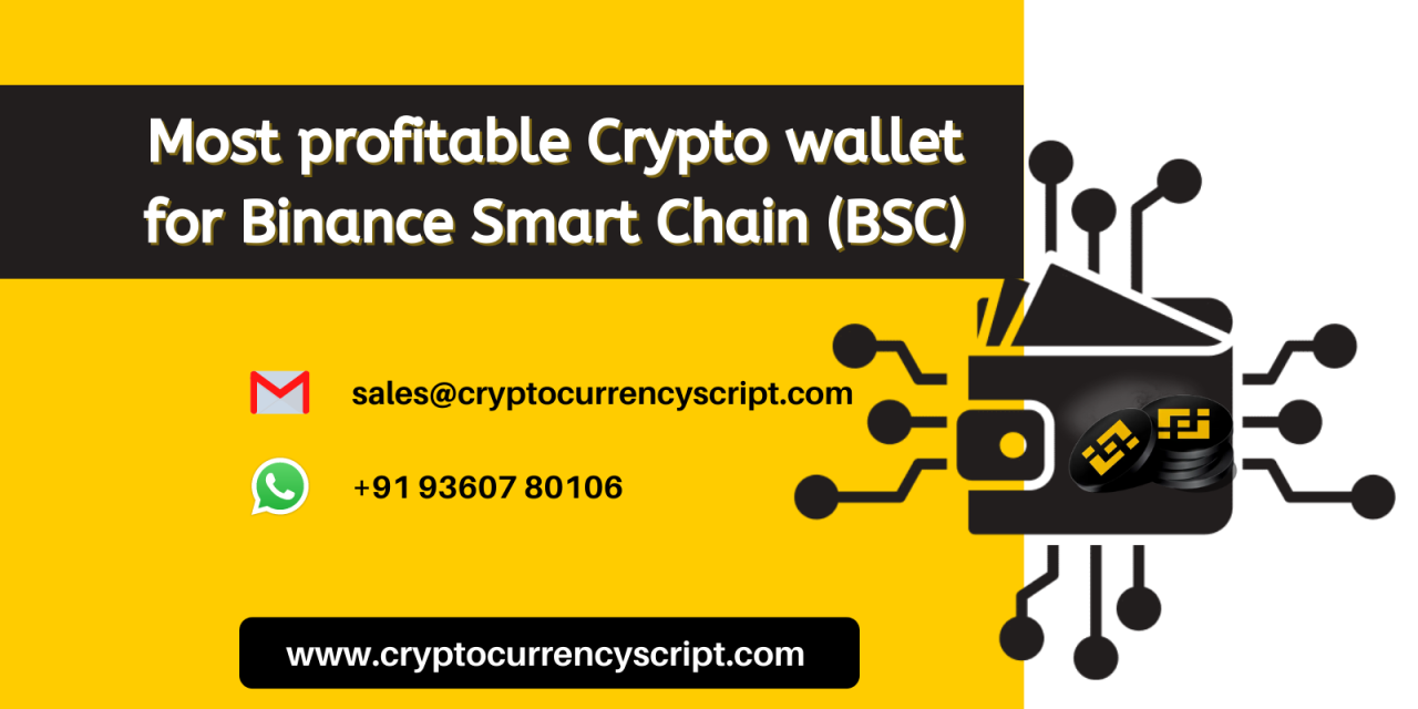 Best Crypto wallet for Binance Smart Chain (BSC)