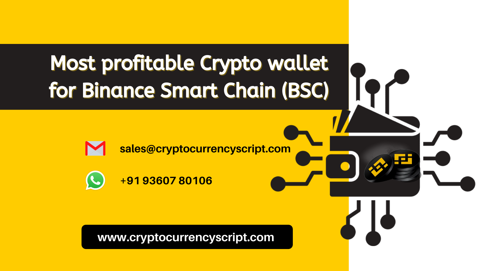 Best Crypto wallet for Binance Smart Chain (BSC)