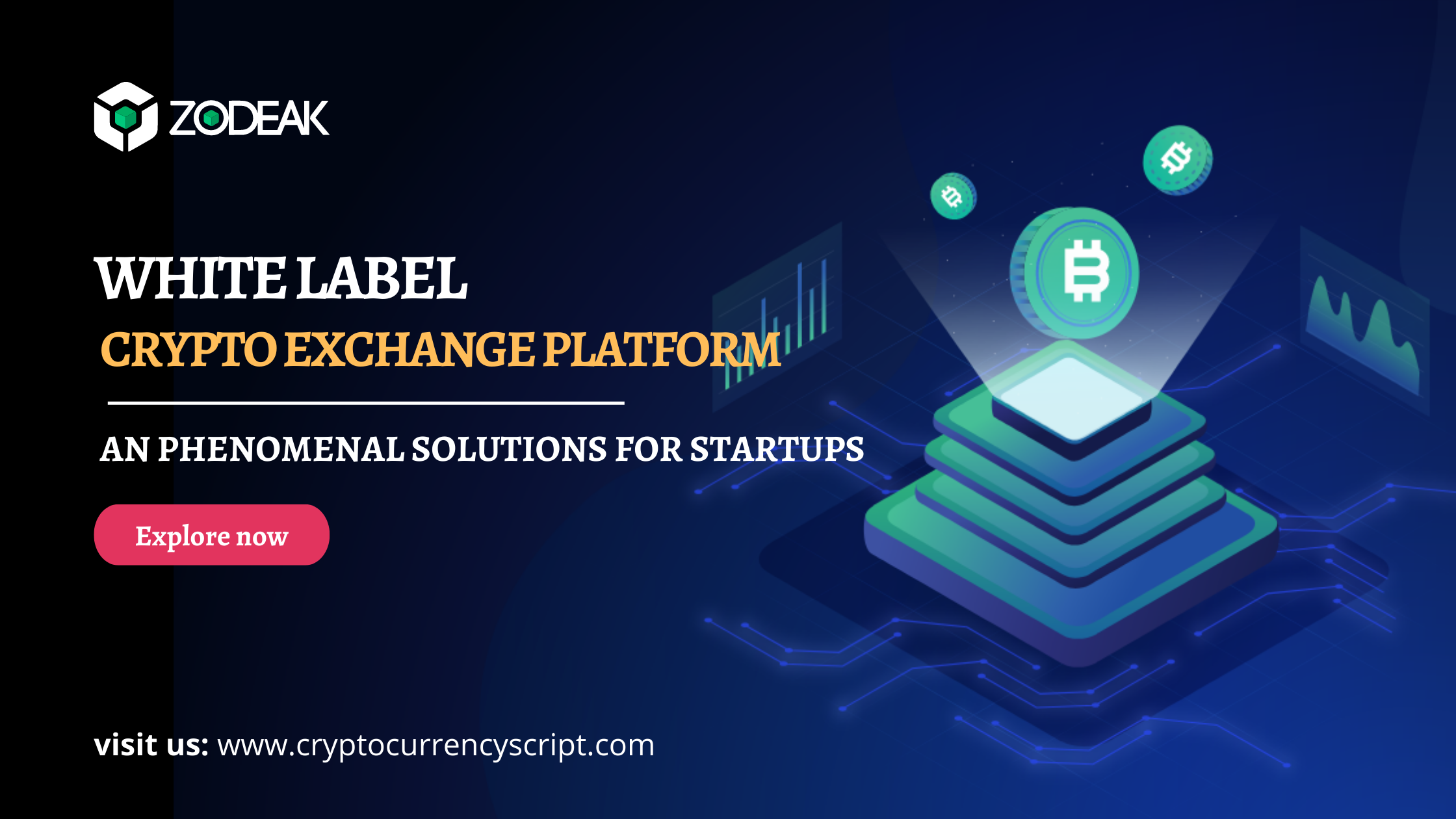 White Label Cryptocurrency Exchange Solutions – An Phenomenal Solutions for Startups
