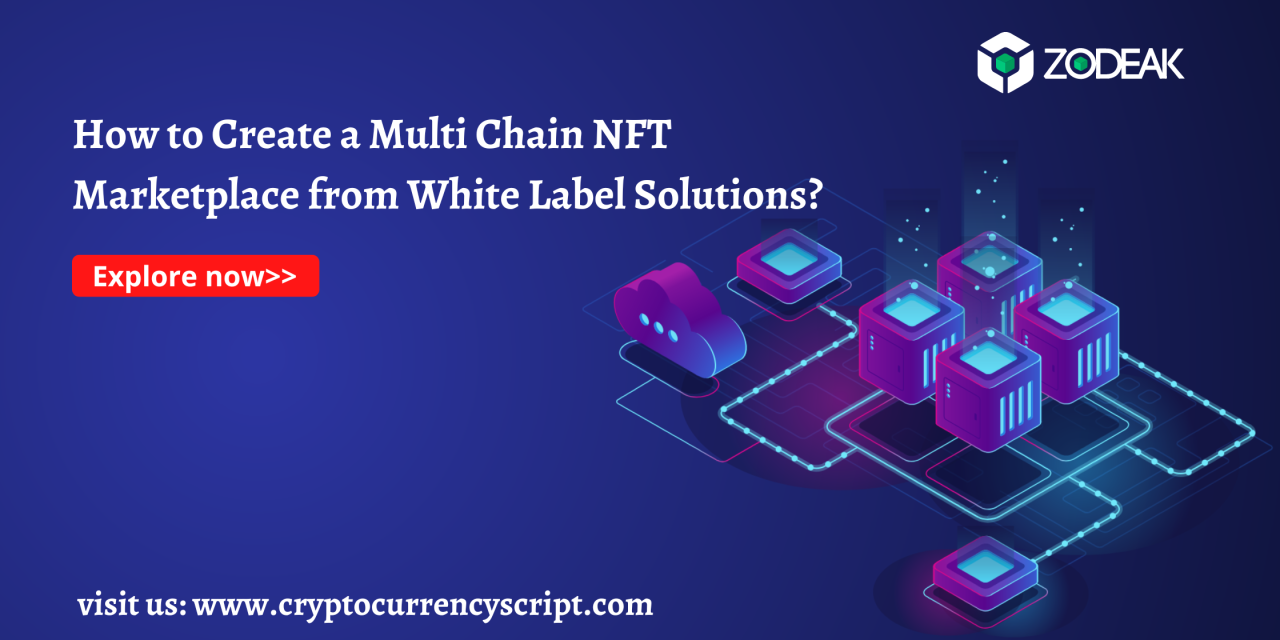 How to Create a Multi Chain NFT Marketplace from White Label Solutions?