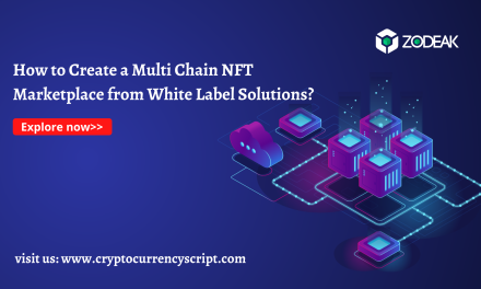 How to Create a Multi Chain NFT Marketplace from White Label Solutions?