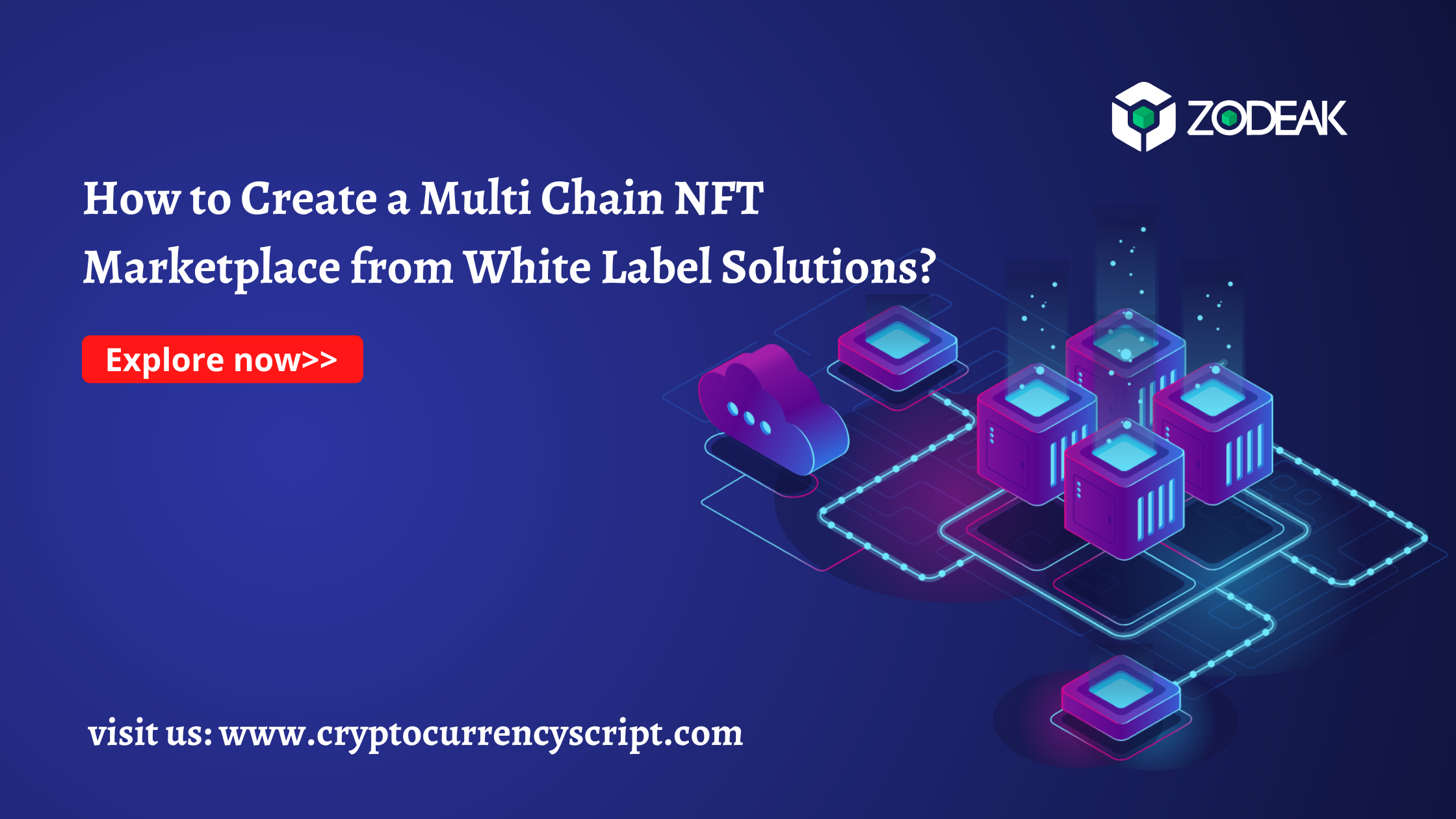 How to Create a Multi Chain NFT Marketplace from White Label Solutions?