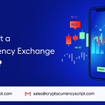 <strong>How to Start a Cryptocurrency Exchange like CEX.IO?</strong>