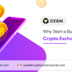 <strong>Why Start a Business like Crypto Exchange Binance?</strong>