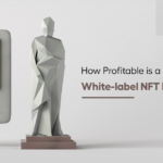 <strong>How Profitable is a Business Using White-label NFT Marketplace?</strong>