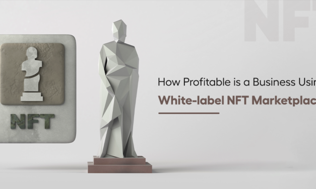 <strong>How Profitable is a Business Using White-label NFT Marketplace?</strong>