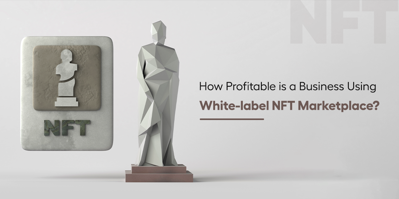 How Profitable is a Business Using White-label NFT Marketplace?