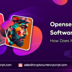 <strong>Opensea Clone Software: How Does It Benefit You?</strong>