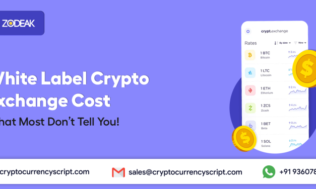 White Label Crypto Exchange Cost: What Most Don’t Tell You!