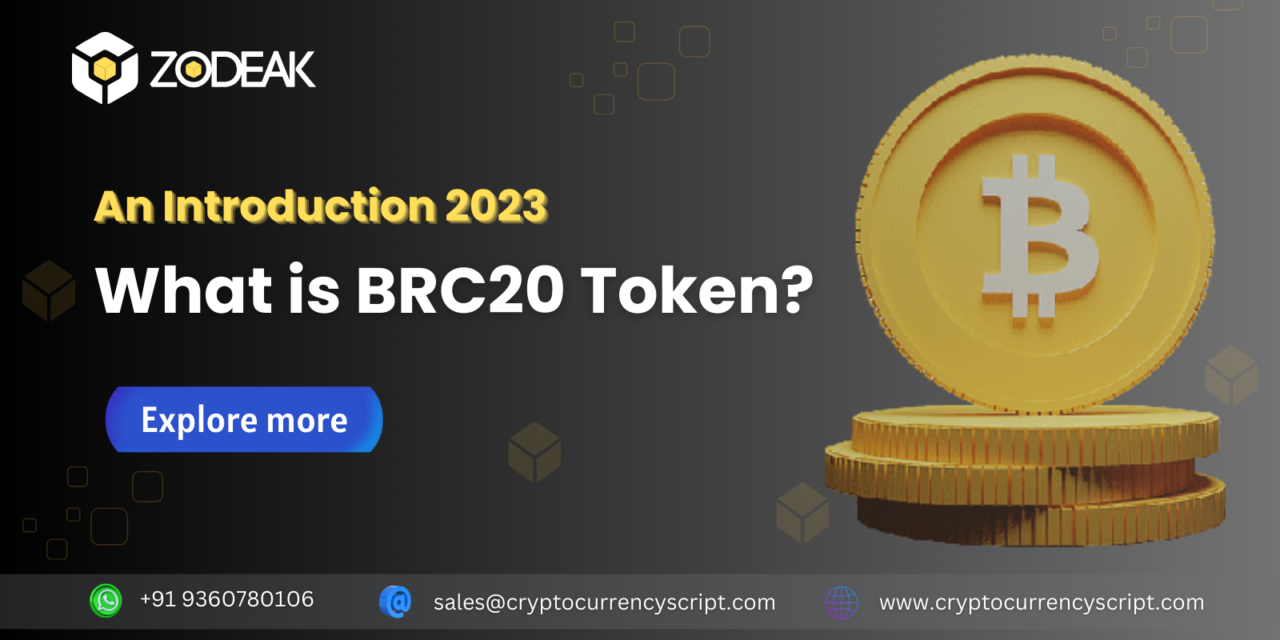 <strong>What is a BRC20 Token? – An Introduction 2023</strong>