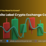 <strong>White Label Crypto Exchange Cost: Everything You Need to Know!</strong>