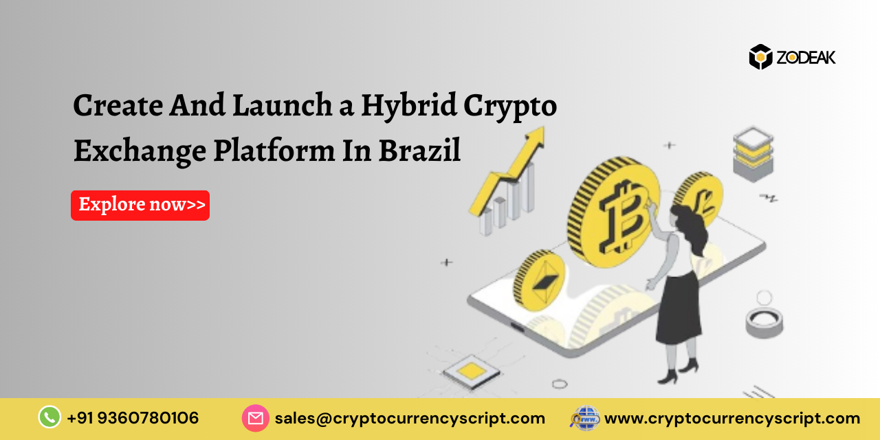 <strong>Create And Launch a Hybrid Crypto Exchange Platform In Brazil</strong>