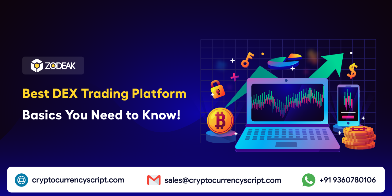 <strong>Best DEX Trading Platform: Basics You Need to Know!</strong>