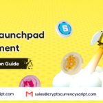 <strong>Crypto Launchpad Development: An Introduction Guide</strong>
