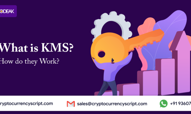 What is Key Management Systems (KMS)? How do they Work?