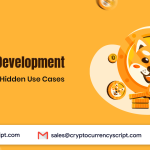 Meme Coin Development: Top Features and Hidden Use Cases for Entrepreneurs