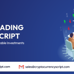 Copy Trading Clone Script: The Future of Profitable Investments